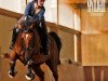 dressage horse Filas (Russian Trakehner, 2004, from Etiudas-Eskado)