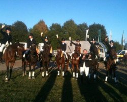 dressage horse Pialotta 20 (Oldenburg, 2000, from Plaisir d'Amour)