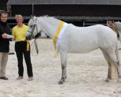 broodmare Ekely's Niamh (Connemara Pony, 2007, from Frederiksminde Hazy Match)