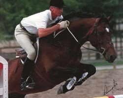 stallion Gallarius (KWPN (Royal Dutch Sporthorse), 1989, from Grosso Z)