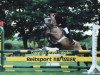 broodmare Pepita (German Riding Pony, 1994, from Llanarth Pip)