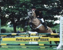 broodmare Pepita (German Riding Pony, 1994, from Llanarth Pip)