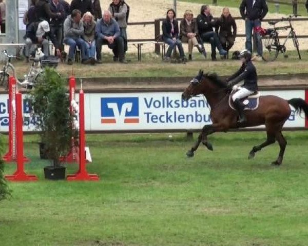 Riesenbeck INTERNATIONAL
Samstag, 23. Juli 2011
38 Springprüfung Kl. M** 
(2. Wertungsprüfung Junioren)