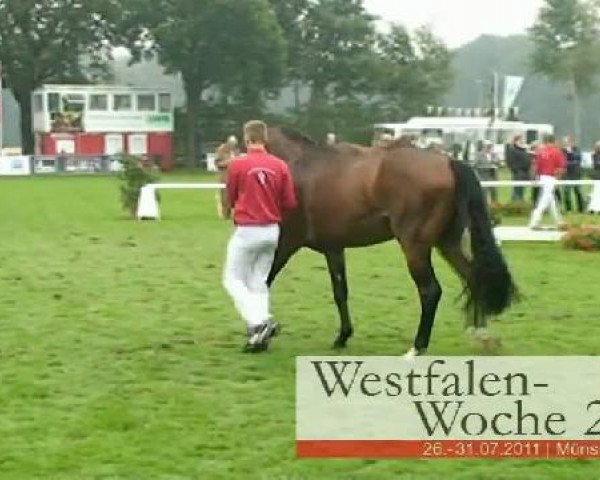 Westfalen-Woche Münster-Handorf
Dienstag, 26. Juli 2011
46. Westfälische Eliteschau für 3j. Reitpferde- und 
Kaltblutstuten