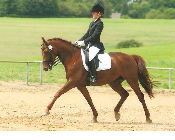 dressage horse Liesbeth Leana (Rhinelander, 2006, from Laurentianer)