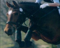 broodmare Fatima (Brandenburg, 1996, from Frühlingsprinz)