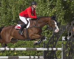 jumper Toulago (Oldenburg show jumper, 2005, from Toulon)