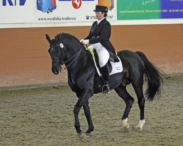 stallion Donatelli II (Oldenburg, 1997, from Donnerhall)