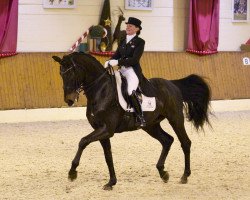 dressage horse For My Life (Oldenburg, 2006, from Fürst Heinrich)