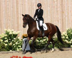 dressage horse Grande sauvage Grenada (German Sport Horse, 2006, from Samba Hit I)