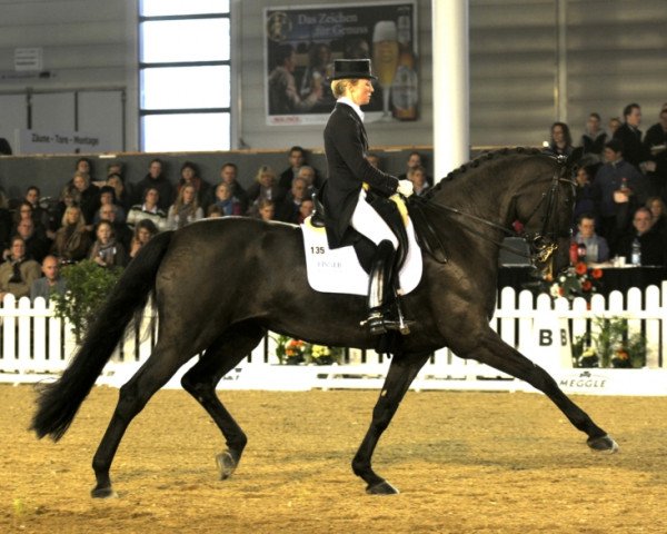 broodmare Responsible OLD (Oldenburg, 1999, from Rohdiamant)