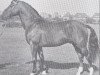 stallion Faktor (Holsteiner, 1959, from Fax I)