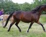 broodmare Nele (German Riding Pony, 1994, from Nansen)