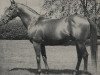stallion Solar Slipper xx (Thoroughbred, 1945, from Windsor Slipper xx)