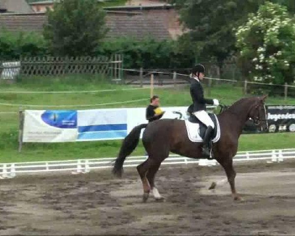 RFV-Seeben 
Sonntag, 29. Mai 2011 
  
1 Dressurreiterprüfung Kl A