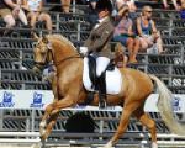stallion Catch a Smile 4 (German Riding Pony, 2010, from Casino Royale K WE)