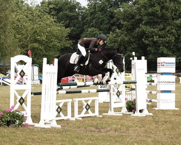 jumper Mentos 22 (German Riding Pony, 2007, from Mon Beck)