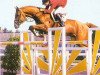 stallion Don Juan de la Bouverie (Belgium Sporthorse, 1987, from Nicias III)