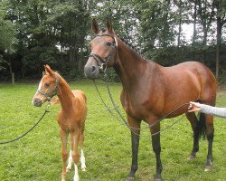 broodmare Ferugia (Rhinelander, 1999, from Florestan I)