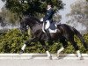 stallion Osmium (KWPN (Royal Dutch Sporthorse), 1996, from Ferro)