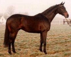 stallion Temple Wind xx (Thoroughbred, 1987, from Tumble Wind xx)