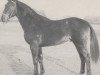 stallion Grünhorn II (Westphalian, 1962, from Gruenschnabel)