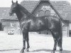 stallion General II (Hanoverian, 1978, from Graphit)