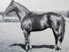 stallion Hook Money xx (Thoroughbred, 1951, from Bernborough xx)