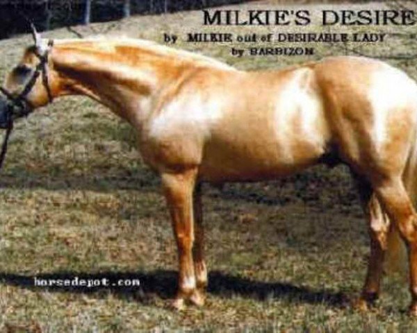 Deckhengst Milkie's Desiree xx (Englisches Vollblut, 1986, von Milkie xx)