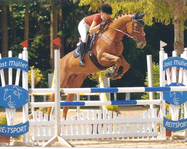 jumper Faible 106 (Hanoverian, 2008, from For Edition)