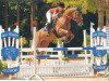 jumper Faible 106 (Hanoverian, 2008, from For Edition)