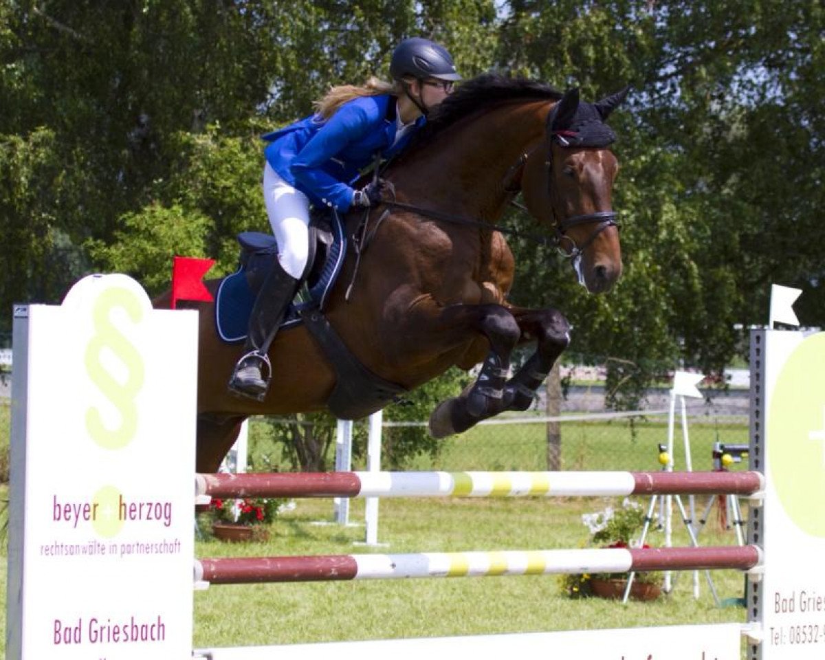 jumper Land Lord (Bavarian, 2005, from Landprinz)