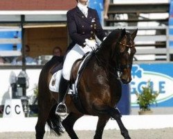 stallion Sterntaler-Unicef (Oldenburg, 1995, from Sion)