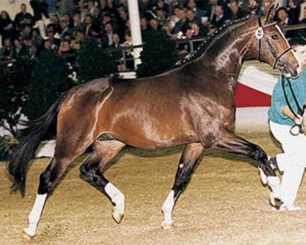 stallion Gralserbe (Westphalian, 1994, from Gralshüter)