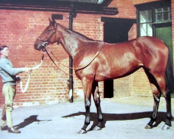 broodmare Ballisland xx (Thoroughbred, 1946, from The Phoenix xx)