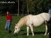 Zuchtstute Equinoxe Melody (Connemara-Pony, 1992, von Apollon Pondi)