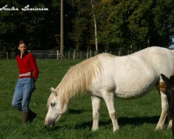 broodmare Equinoxe Melody (Connemara Pony, 1992, from Apollon Pondi)