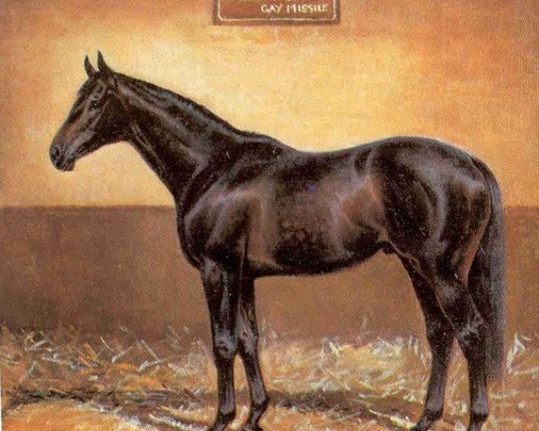 stallion Gay Mecene xx (Thoroughbred, 1975, from Vaguely Noble xx)