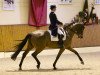 dressage horse Lucky Lordi (Oldenburg, 2002, from Lord Sinclair I)