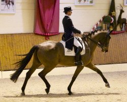 dressage horse Lucky Lordi (Oldenburg, 2002, from Lord Sinclair I)