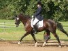 dressage horse Sir Samiro (Westphalian, 2006, from Sir Bedo)