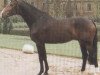 stallion Le Charmeur E (Hessian Warmblood, 1989, from Lordon)