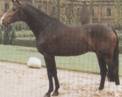 Deckhengst Le Charmeur E (Hessisches Warmblut, 1989, von Lordon)