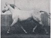 stallion Roemischer Prinz (Hanoverian, 1963, from Ramzes AA)