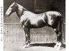 stallion Hambletonian 10 (US) (American Trotter, 1849, from Abdallah 01 (US))