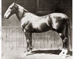 stallion Hambletonian 10 (US) (American Trotter, 1849, from Abdallah 01 (US))