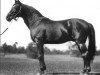 stallion Guy Axworthy US-37501 (American Trotter, 1902, from Axworthy US-24845)