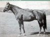 stallion Spud Hanover 72191 (US) (American Trotter, 1936, from Guy McKinney 67486 (US))