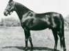 stallion Florican 80195 (US) (American Trotter, 1947, from Spud Hanover 72191 (US))