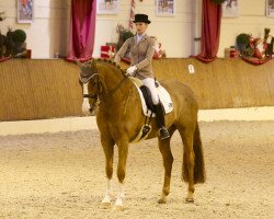 dressage horse Wyclef Jean (Westphalian, 2002, from Westlite)